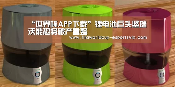 “世界杯APP下载”锂电池巨头坚瑞沃能恐将破产重整(图1) 世界杯APP下载