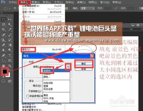 “世界杯APP下载”锂电池巨头坚瑞沃能恐将破产重整(图3) 世界杯直播