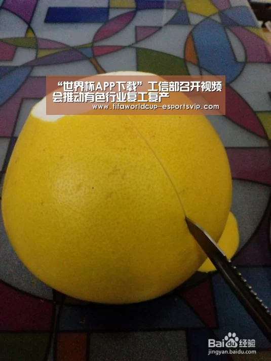 “世界杯APP下载”工信部召开视频会推动有色行业复工复产(图1) 世界杯热门赛事
