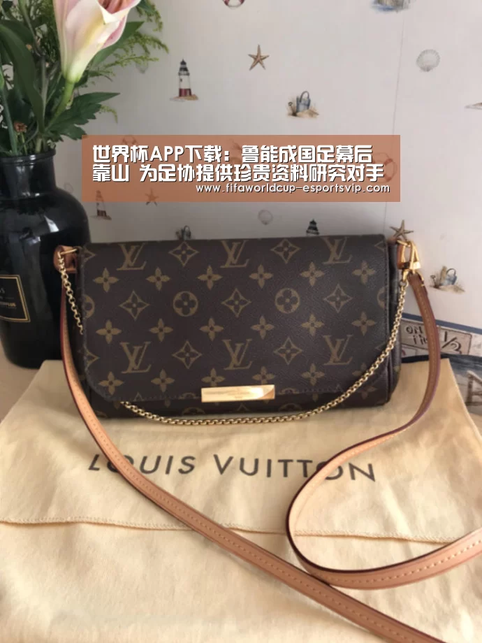 世界杯APP下载:鲁能成国足幕后靠山 为足协提供珍贵资料研究对手(图3) 世界杯热门赛事