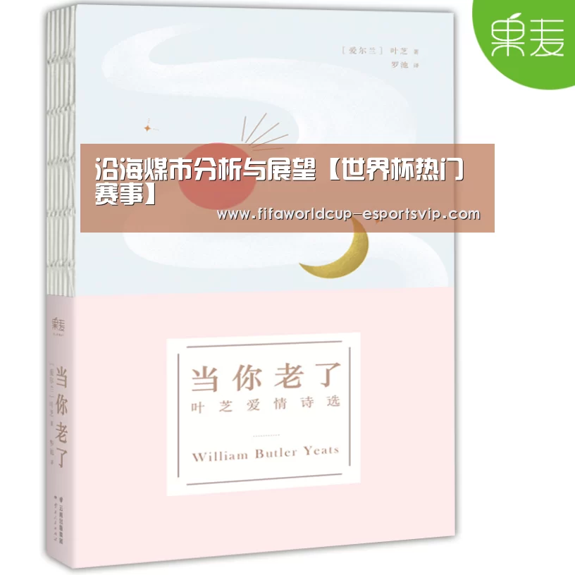 沿海煤市分析与展望【世界杯热门赛事】(图3) 世界杯热门赛事