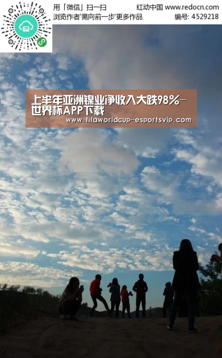 上半年亚洲镍业净收入大跌98%-世界杯APP下载(图2) 世界杯综合娱乐平台