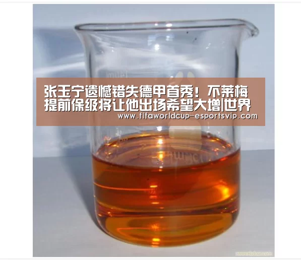 张玉宁遗憾错失德甲首秀!不莱梅提前保级将让他出场希望大增|世界杯综合娱乐平台(图2) 世界杯APP下载