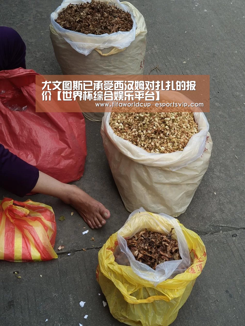 尤文图斯已承受西汉姆对扎扎的报价【世界杯综合娱乐平台】(图2) 世界杯直播